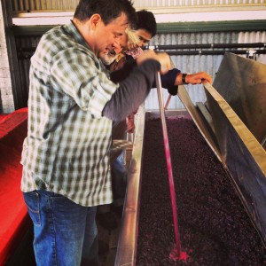 Rick plunging the new vintage